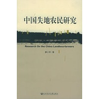 中国失地农民研究