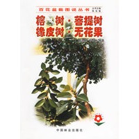 榕树.菩提树.橡皮树.无花果——百花盆栽图说丛书