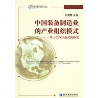中国装备制造业的产业组织模式:基于COCP范式的研究