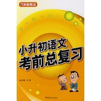 小升初考前总复习——语文