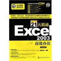 办公高手成长日记--21天精通Excel 2003高效办公(附光盘)