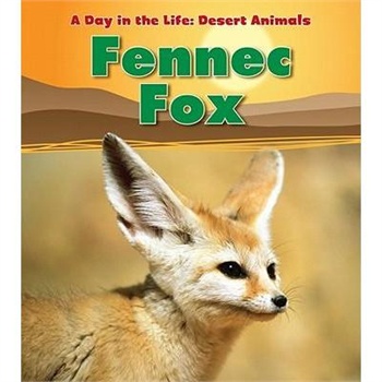 【预订】fennec fox