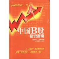 中国 B 股投资指南
