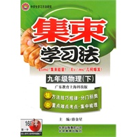 九年级物理（下）广东教育上海科技版（2010年8月印刷）集束学习法