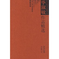 毕淑敏作品精选