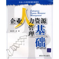 企业人力资源管理基础（企业人力资源管理阶梯教程）