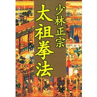 少林正宗太祖拳法