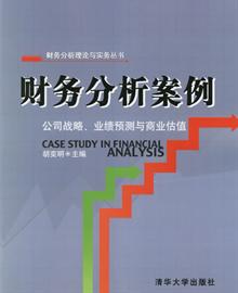 财务分析案例