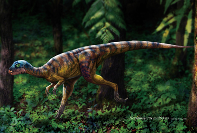 只卖正版\/古生物图鉴-中国恐龙2 赵闯 著-图书杂志-科普读物-其他科普知识 | 网购-拍拍网