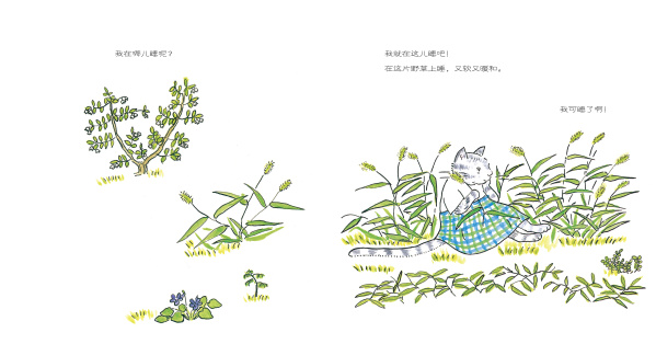 插图