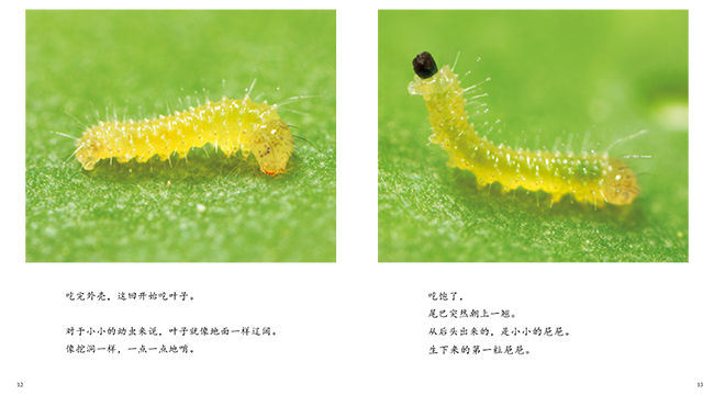 插图
