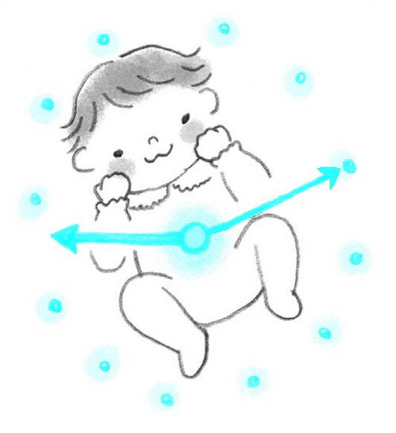 插图