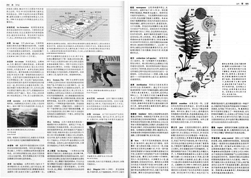 《不列颠简明百科全书(修订版、牛皮封面 精装全四册)一套涵盖世界上最著名和最权威信息的综合性百科全书,是工具书中的《圣经》》美国不列颠百科全书公司_简介_书评_在线阅读-当当图书