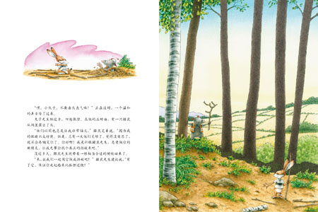 插图