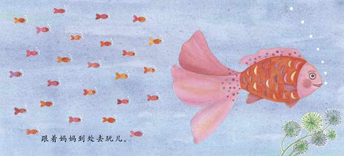 插图