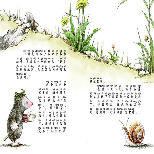 插图
