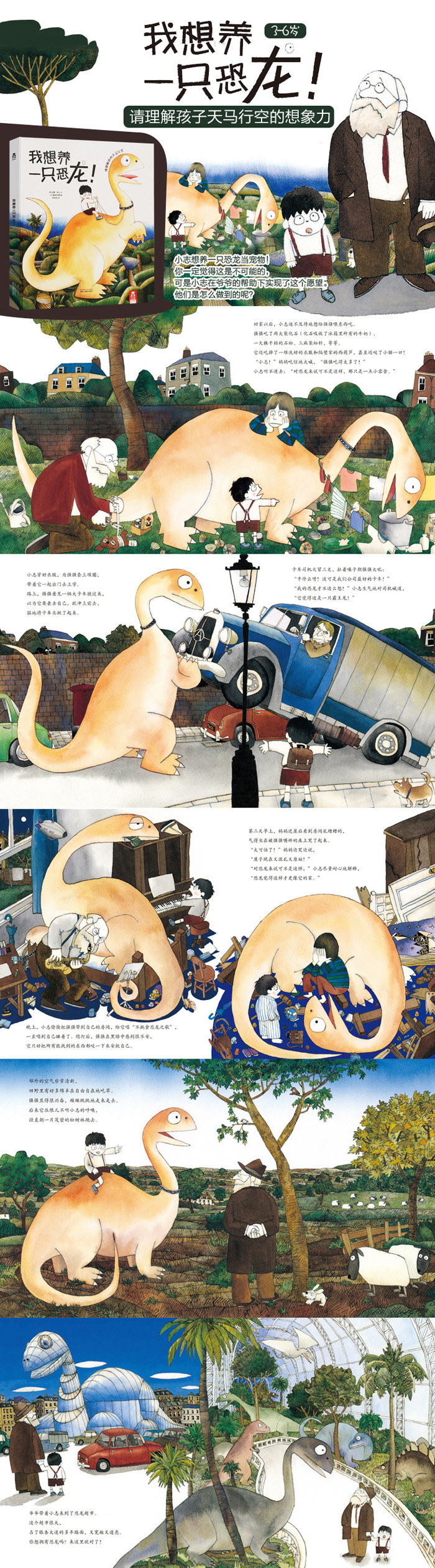 插图
