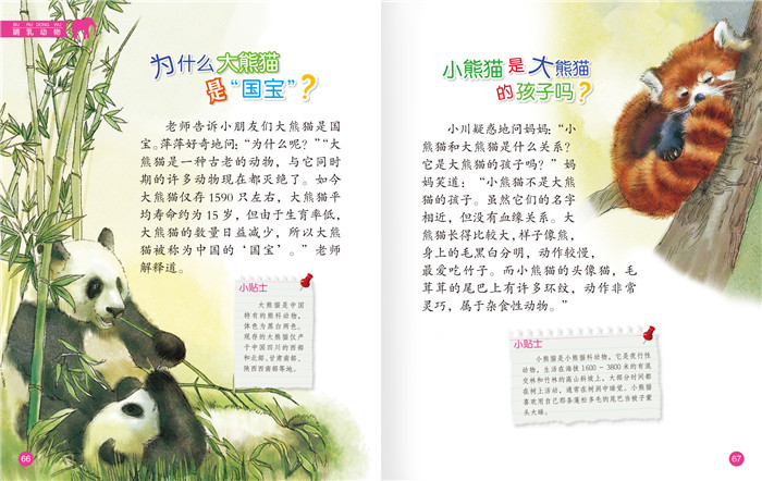 插图