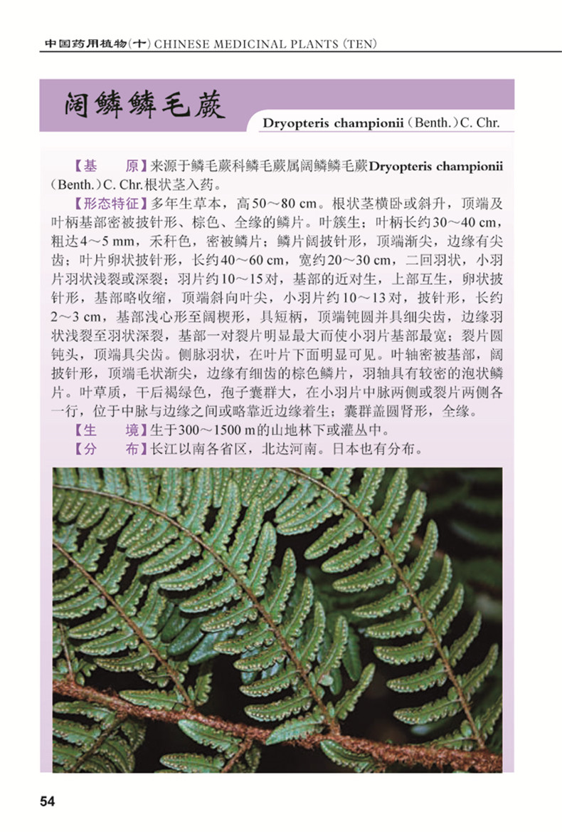 中国药用植物.10