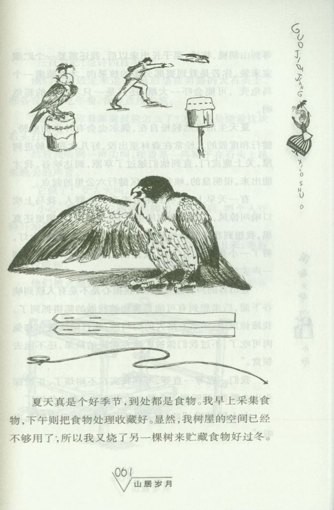 插图