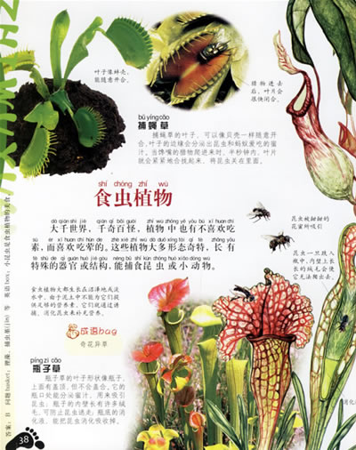 上学就看:植物园--中国儿童百科全书-图书杂志