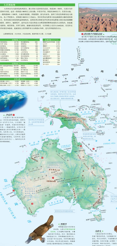 世界百科系列地图·大洋洲(大幅对开撕不烂地图594mm*841mm,趣味地图