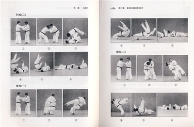 武道——日本文化大讲堂 泉敬史,何英莺 上海辞书出版社