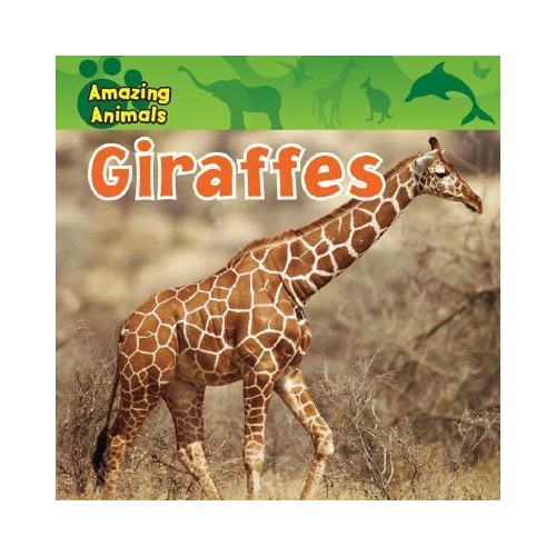 【预订】giraffes
