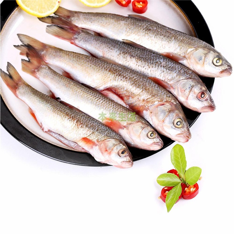 【本来生活】舌尖上的中国2推荐--预售-达里湖有机野生华子鱼500g(净