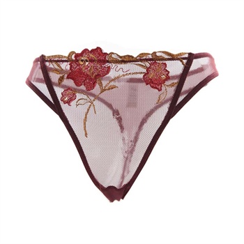 桑扶兰 女士花边蕾丝网纱丁字裤性感情趣内裤 ct410_豆沙色,m
