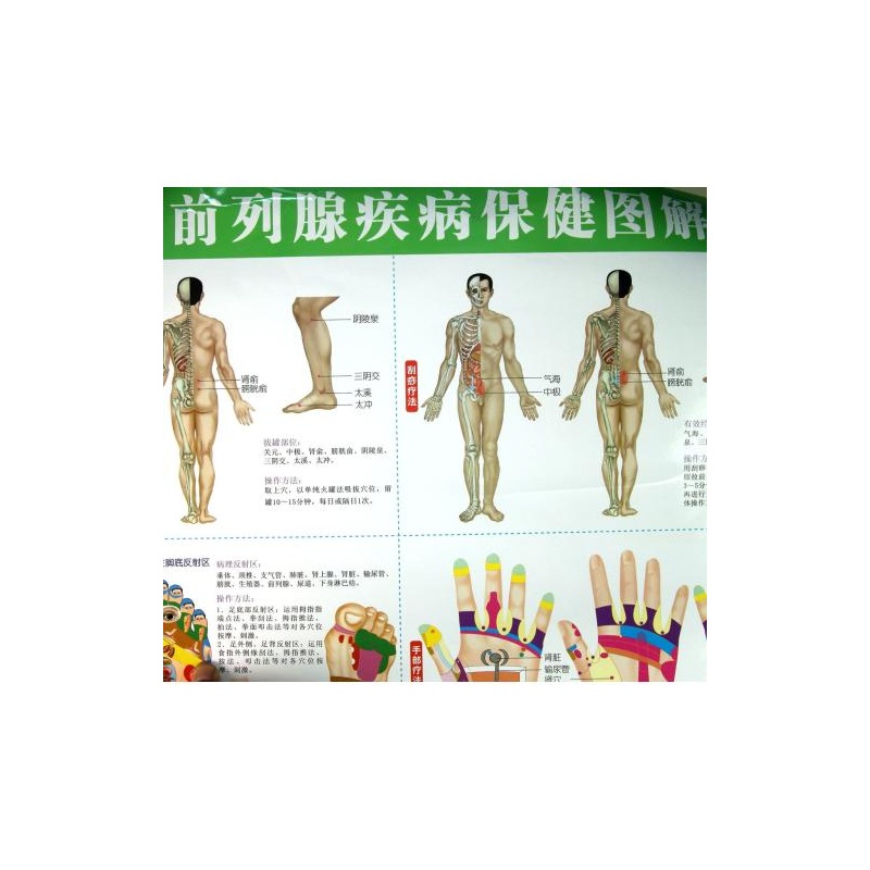 腰骶区,腰骶角,腰骶(第4页)_大山谷图库