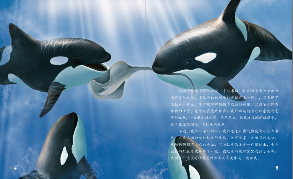 《海洋动物探秘故事丛书——虎鲸和伪虎鲸》(隋金钊 文)【简介_书评_