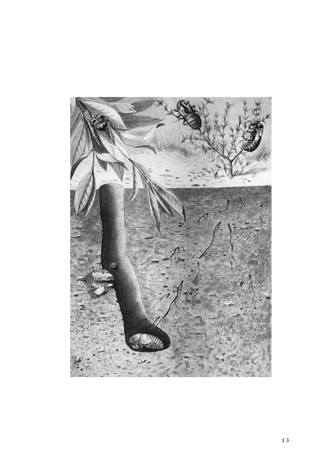 昆虫记 世界名著典藏