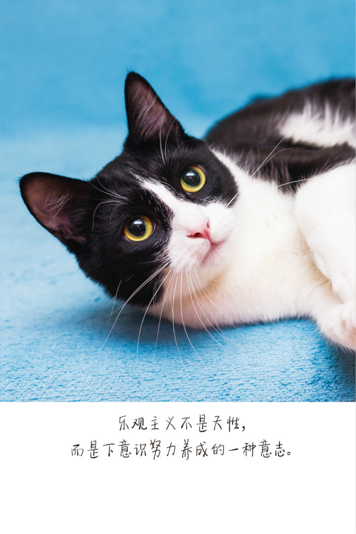 接受不完美的勇气