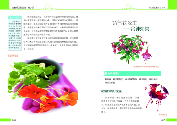 拉鲁斯百科全书青少版:种类繁多的花与树